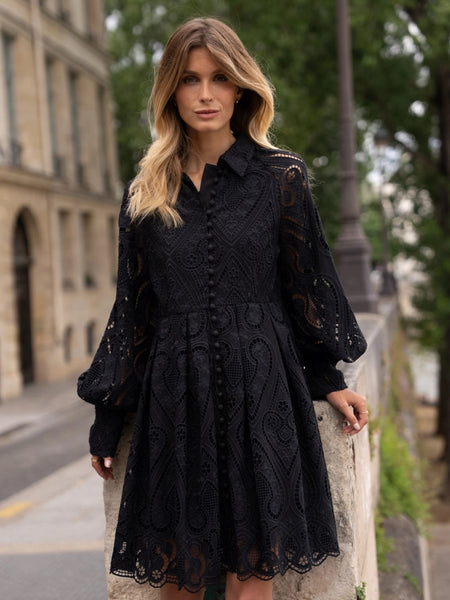 Sloane Embroidered Cotton Lace Dress